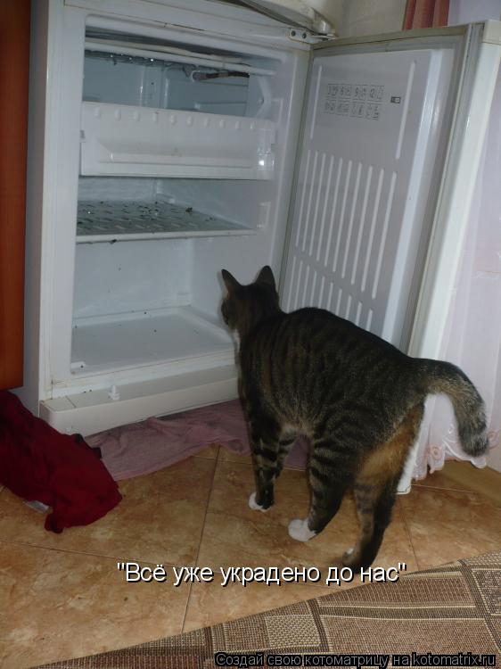 Котоматрица: "Всё уже украдено до нас"