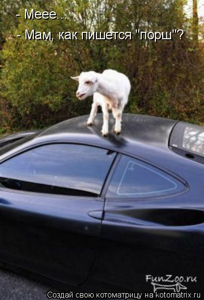 Котоматрица: - Мам, как пишется "порш"? - Меее…