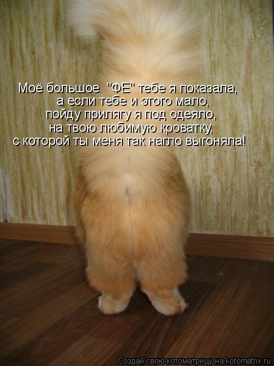 Котоматрица: а если тебе и этого мало,  пойду прилягу я под одеяло,  на твою любимую кроватку,  с которой ты меня так нагло выгоняла! Моё большое  "ФЕ" тебе я 