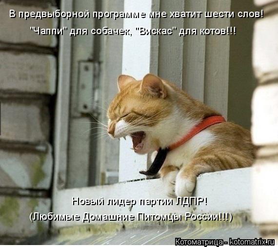 Котоматрица: В предвыборной программе мне хватит шести слов! "Чаппи" для собачек, "Вискас" для котов!!! (Любимые Домашние Питомцы России!!!) Новый лидер парт