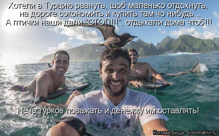 Котоматрица: Хотели в Турцию рвануть, шоб маленько отдохнуть,  на дороге сэкономить и купить там чо нибудь... А птички наши дали "СТОП!!!", отдыхали дома что