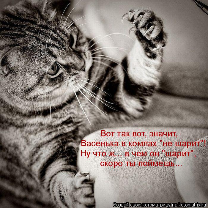 Котоматрица: Вот так вот, значит,  Васенька в компах "не шарит"! Ну что ж... в чем он "шарит",  скоро ты поймешь...