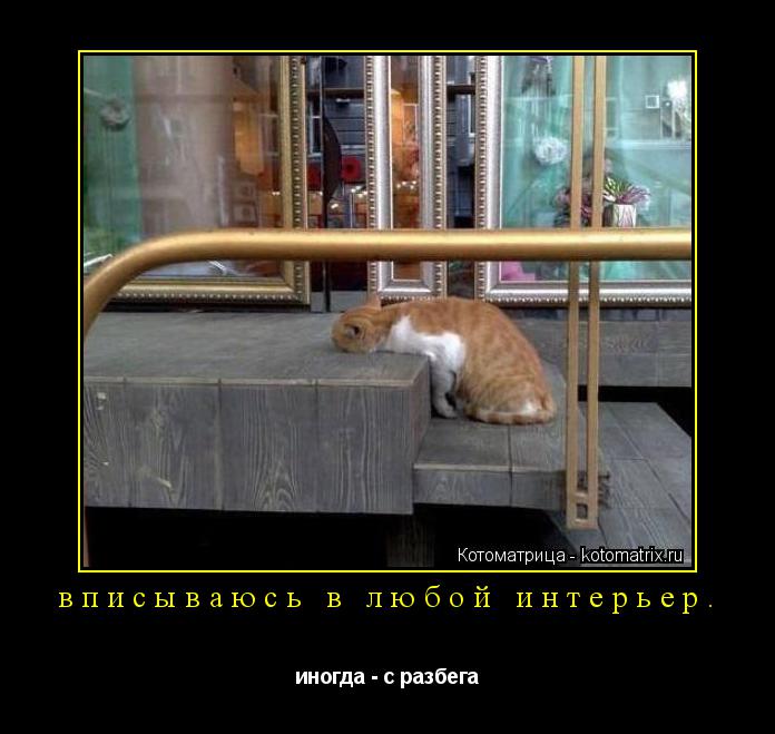 Котоматрица: вписываюсь в любой интерьер. иногда - с разбега