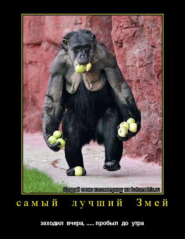 самый лучший Змей заходил вчера, ..... пробыл до утра... Котоматрица: самый лучший Змей заходил вчера, ..... пробыл до утра