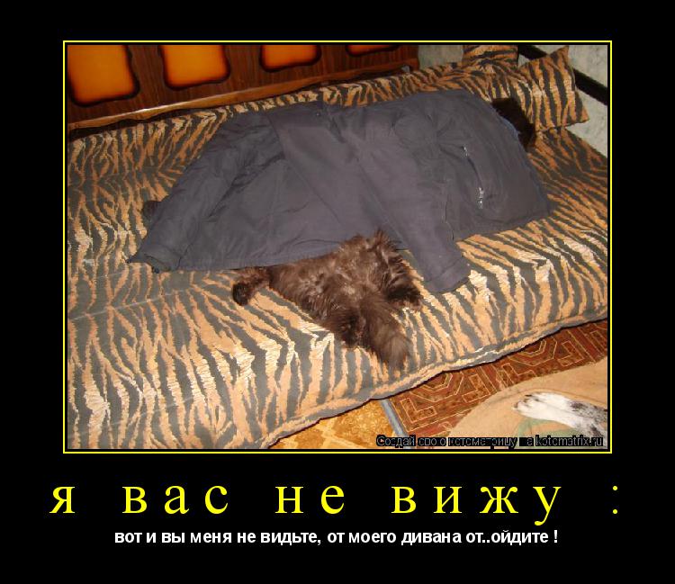 я вас не вижу : вот и вы меня не видьте, от моего дивана от..ойдите !... Котоматрица: я вас не вижу : вот и вы меня не видьте, от моего дивана от..ойдите !