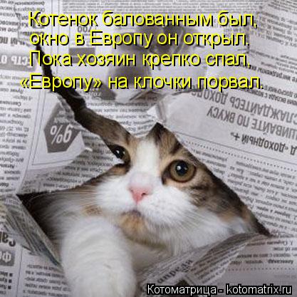 Котенок балованным был, окно в Европу он открыл. Пока хозяин крепко спал, «Европу» на клочки порвал.... Котоматрица: Котенок балованным был, окно в Европу он открыл. Пока хозяин крепко спал, «Европу» на клочки порвал.