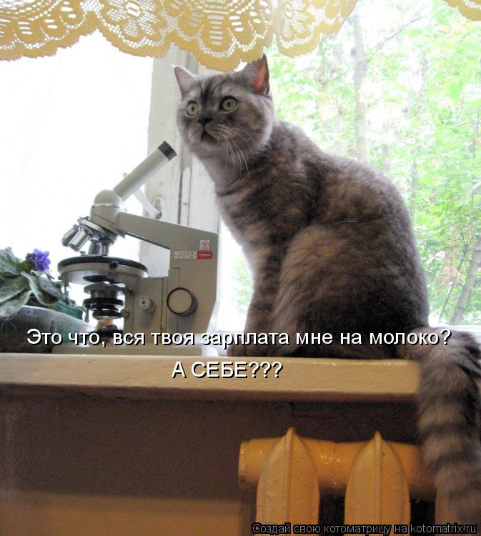 Котоматрица: Это что, вся твоя зарплата мне на молоко? А СЕБЕ???
