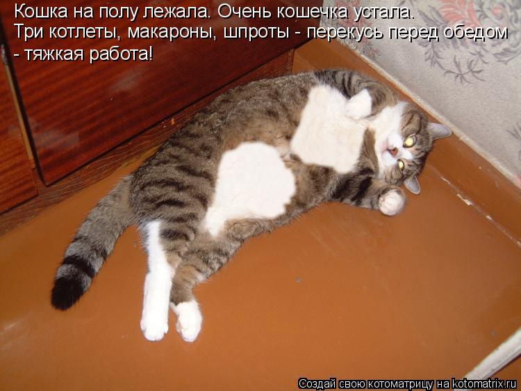 Котоматрица: Кошка на полу лежала. Очень кошечка устала. Три котлеты, макароны, шпроты - перекусь перед обедом - тяжкая работа!