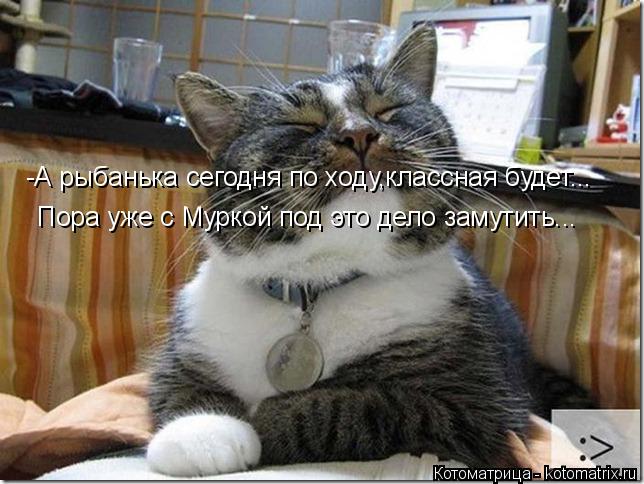 -А рыбанька сегодня по ходу,классная будет... Пора уже с Муркой под это дело замутить...... Котоматрица: -А рыбанька сегодня по ходу,классная будет... Пора уже с Муркой под это дело замутить...