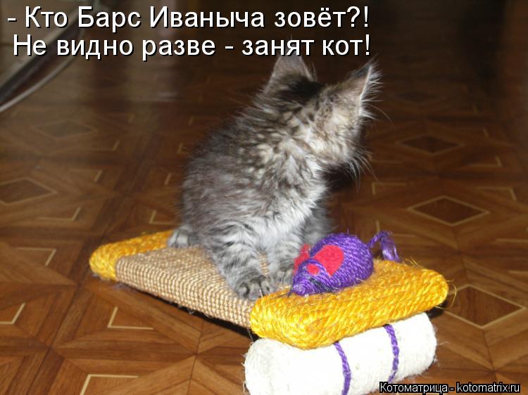 Котоматрица: - Кто Барс Иваныча зовёт?! Не видно разве - занят кот!
