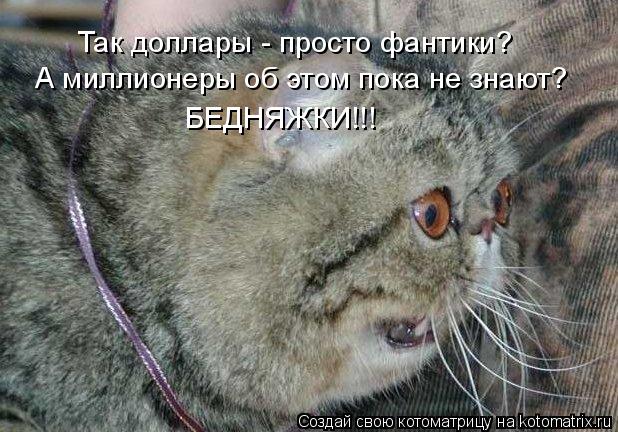 Так доллары - просто фантики? А миллионеры об этом пока не знают? БЕДНЯЖКИ!!!... Котоматрица: Так доллары - просто фантики? А миллионеры об этом пока не знают? БЕДНЯЖКИ!!!