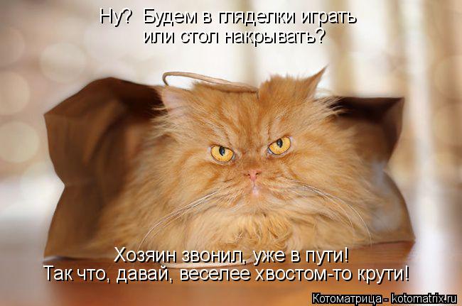 Ну? Будем в гляделки играть или стол накрывать? Хозяин звонил, уже в пути! Так что, давай, веселее х... Котоматрица: Ну? Будем в гляделки играть или стол накрывать? Хозяин звонил, уже в пути! Так что, давай, веселее хвостом-то крути!
