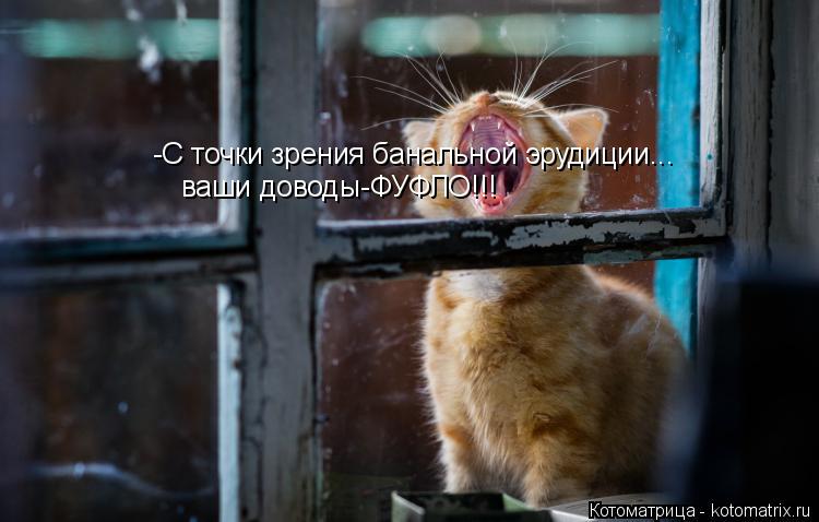 -С точки зрения банальной эрудиции... ваши доводы-ФУФЛО!!!... Котоматрица: -С точки зрения банальной эрудиции... ваши доводы-ФУФЛО!!!