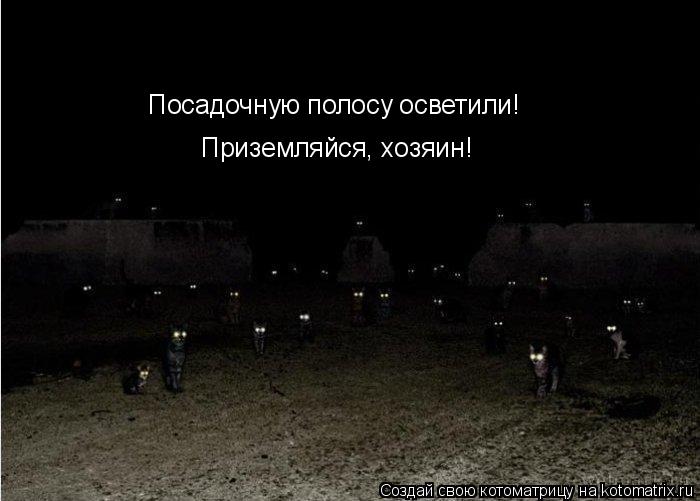 Посадочную полосу осветили! Приземляйся, хозяин!... Котоматрица: Посадочную полосу осветили! Приземляйся, хозяин!