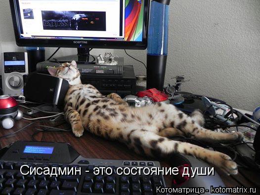 Сисадмин - это состояние души... Котоматрица: Сисадмин - это состояние души