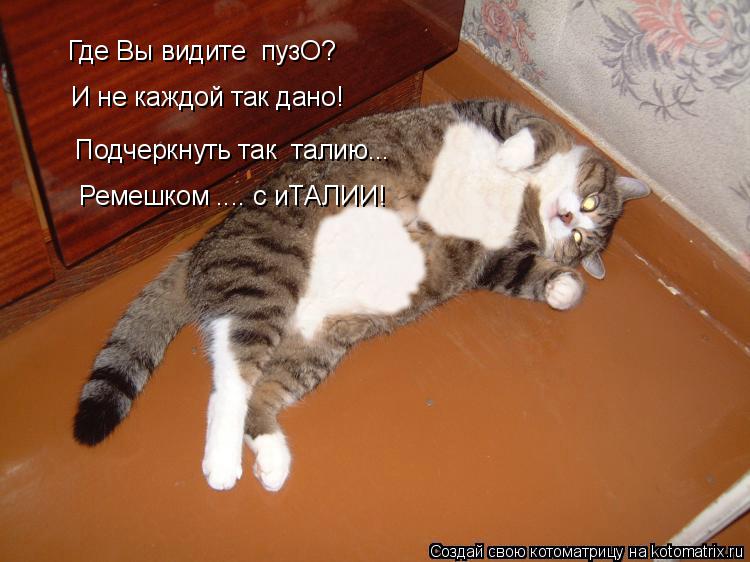 Котоматрица: Где Вы видите  пузО? И не каждой так дано! Подчеркнуть так  талию... Ремешком .... с иТАЛИИ!