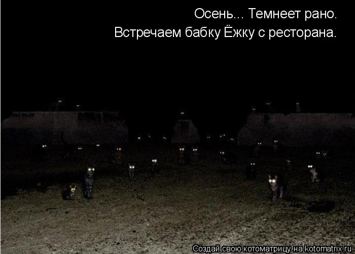 Осень... Темнеет рано. Встречаем бабку Ёжку с ресторана.... Котоматрица: Осень... Темнеет рано. Встречаем бабку Ёжку с ресторана.