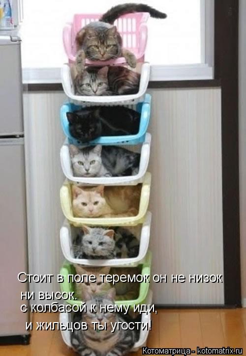 Стоит в поле теремок он не низок ни высок. с колбасой к нему иди, и жильцов ты угости!... Котоматрица: Стоит в поле теремок он не низок ни высок. с колбасой к нему иди, и жильцов ты угости!