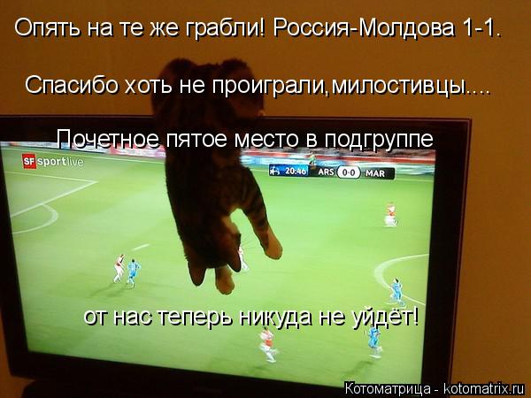 Котоматрица: Опять на те же грабли! Россия-Молдова 1-1. Спасибо хоть не проиграли,милостивцы.... Почетное пятое место в подгруппе от нас теперь никуда не уй