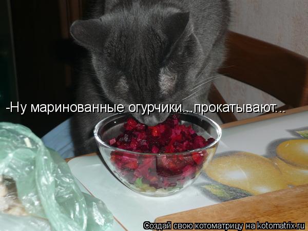 -Ну маринованные огурчики...прокатывают...... Котоматрица: -Ну маринованные огурчики...прокатывают...