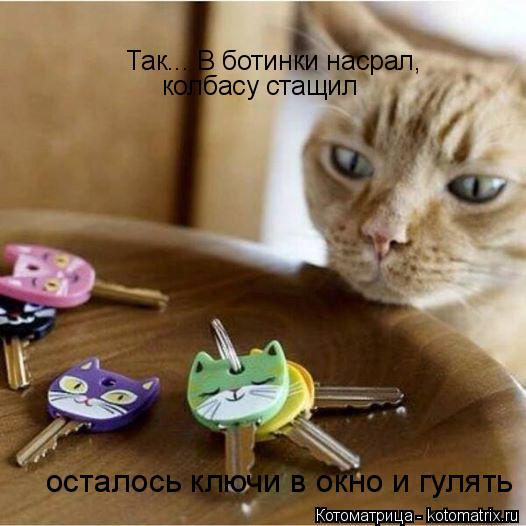 Так... В ботинки насрал, колбасу стащил осталось ключи в окно и гулять... Котоматрица: Так... В ботинки насрал, колбасу стащил осталось ключи в окно и гулять