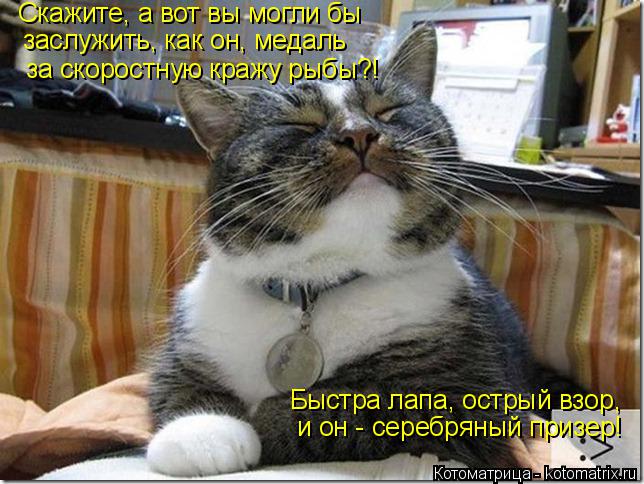 http://kotomatrix.ru/images/lolz/2014/10/13/kotomatritsa_go.jpg