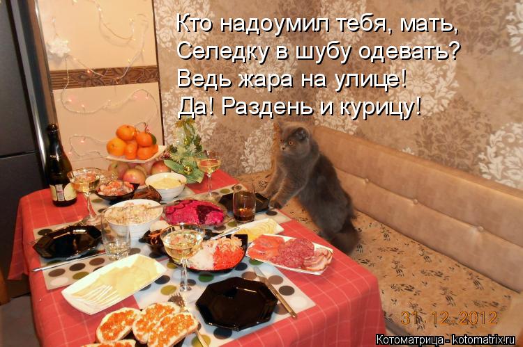 Котоматрица: Кто надоумил тебя, мать, Селедку в шубу одевать? Ведь жара на улице! Да! Раздень и курицу!