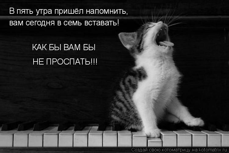 В пять утра пришёл напомнить, вам сегодня в семь вставать! КАК БЫ ВАМ БЫ НЕ ПРОСПАТЬ!!!... Котоматрица: В пять утра пришёл напомнить, вам сегодня в семь вставать! КАК БЫ ВАМ БЫ НЕ ПРОСПАТЬ!!!