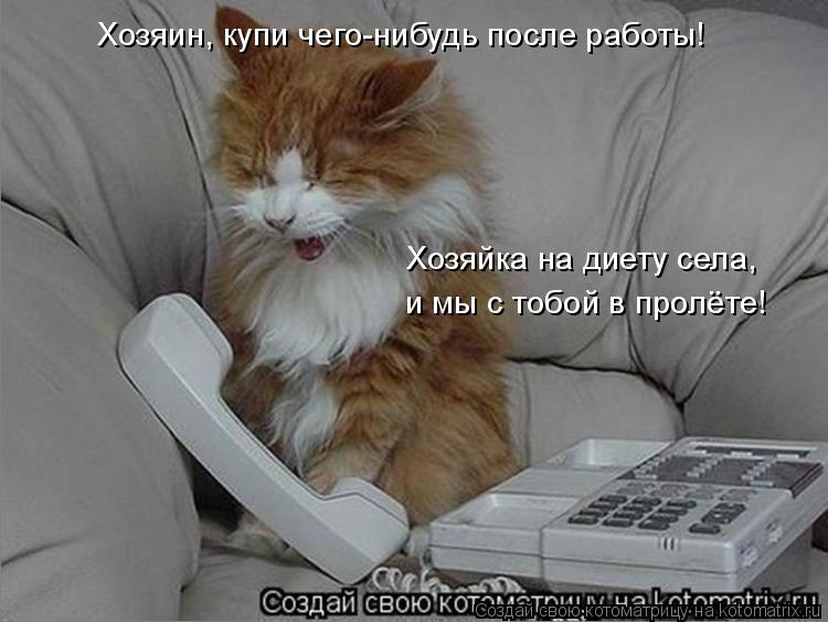 Хозяин, купи чего-нибудь после работы! Хозяйка на диету села, и мы с тобой в пролёте!... Котоматрица: Хозяин, купи чего-нибудь после работы! Хозяйка на диету села, и мы с тобой в пролёте!