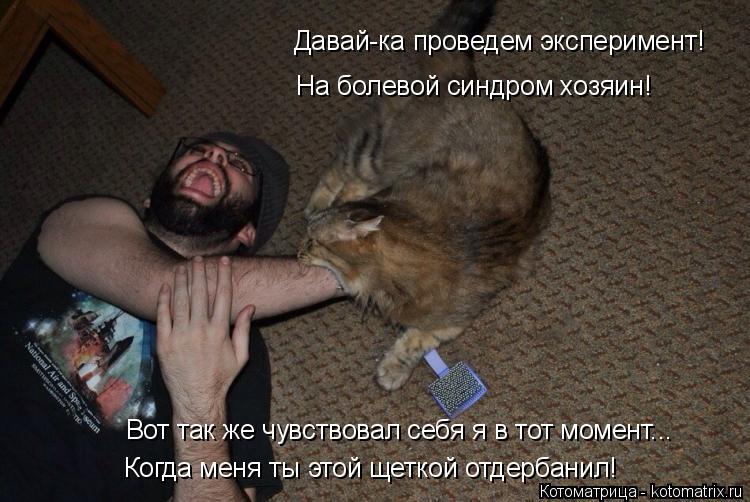 Котоматрица: Давай-ка проведем эксперимент!     На болевой синдром хозяин! Вот так же чувствовал себя я в тот момент... Когда меня ты этой щеткой отдербанил