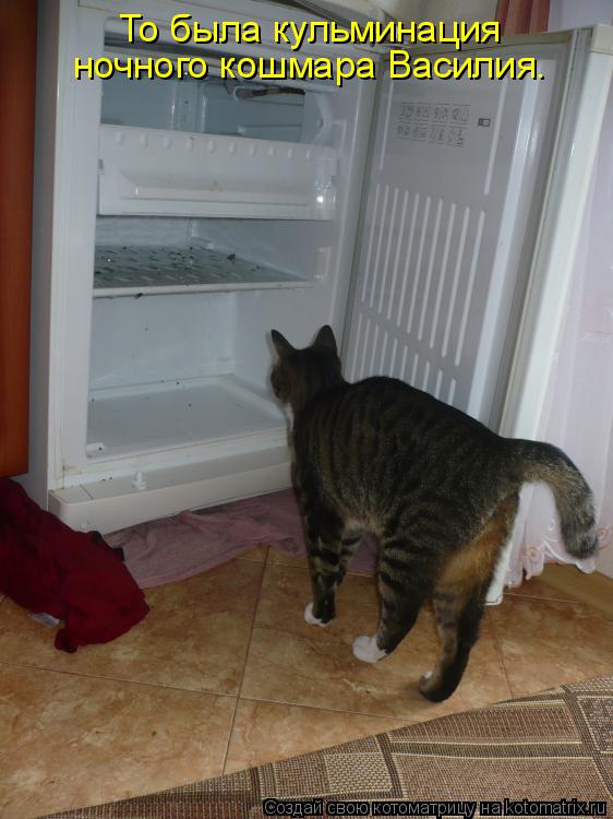 То была кульминация ночного кошмара Василия.... Котоматрица: То была кульминация ночного кошмара Василия.