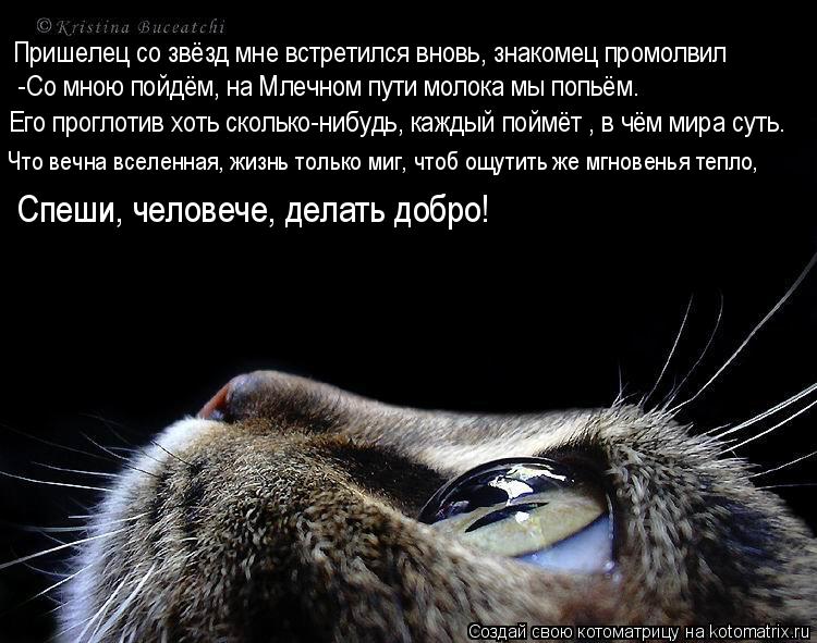 Пришелец со звёзд мне встретился вновь, знакомец промолвил -Со мною пойдём, на Млечном пути молока мы... Котоматрица: Пришелец со звёзд мне встретился вновь, знакомец промолвил -Со мною пойдём, на Млечном пути молока мы попьём. Его проглотив хоть сколько-ниб
