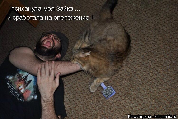 Котоматрица: психанула моя Зайка ... и сработала на опережение !!