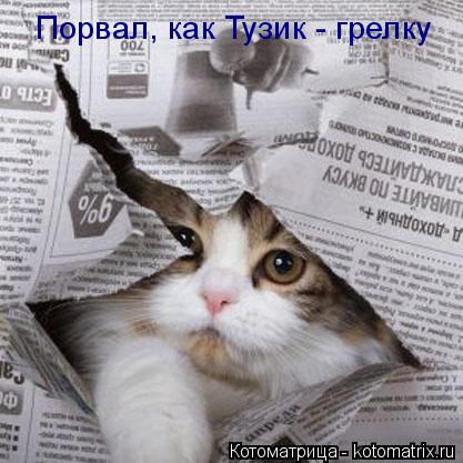 Порвал, как Тузик - грелку... Котоматрица: Порвал, как Тузик - грелку