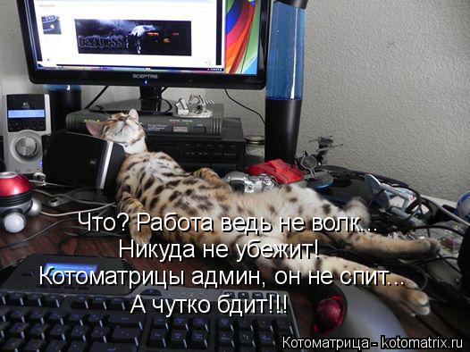 Что? Работа ведь не волк... Никуда не убежит! Котоматрицы админ, он не спит... А чутко бдит!!!... Котоматрица: Что? Работа ведь не волк... Никуда не убежит! Котоматрицы админ, он не спит... А чутко бдит!!!