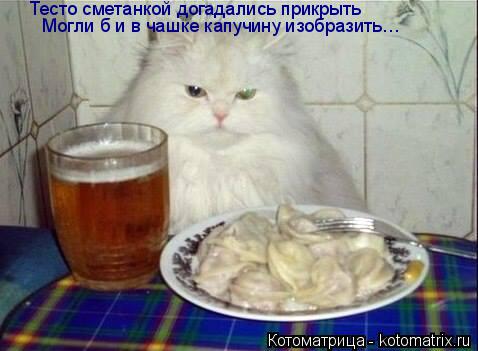 Котоматрица: Тесто сметанкой догадались прикрыть Могли б и в чашке капучину изобразить…