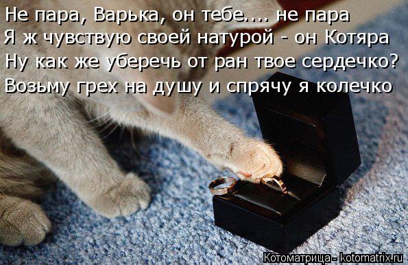 Не пара, Варька, он тебе.... не пара Я ж чувствую своей натурой - он Котяра Ну как же уберечь от ран ... Котоматрица: Не пара, Варька, он тебе.... не пара Я ж чувствую своей натурой - он Котяра Ну как же уберечь от ран твое сердечко? Возьму грех на душу и спрячу я