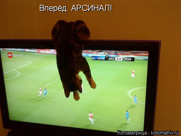 Котоматрица: Вперёд  АРСИНАЛ!