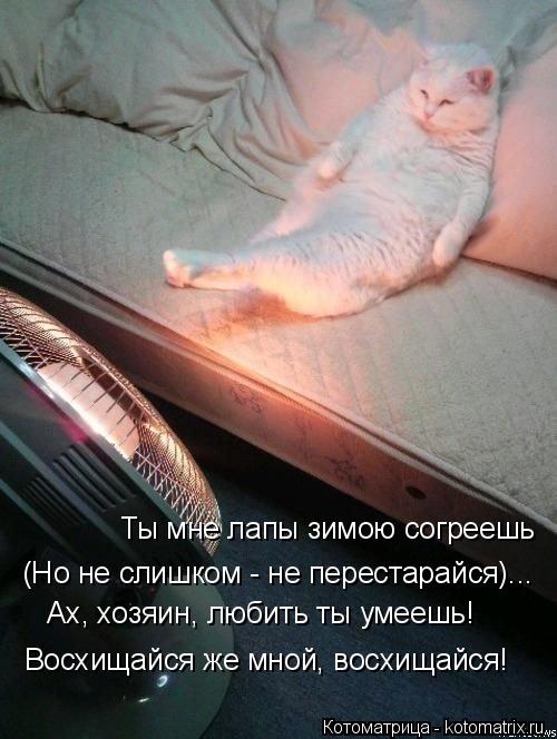 Котоматрица: Ты мне лапы зимою согреешь (Но не слишком - не перестарайся)... Ах, хозяин, любить ты умеешь! Восхищайся же мной, восхищайся!