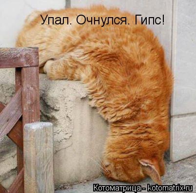 Котоматрица: Упал. Очнулся. Гипс!