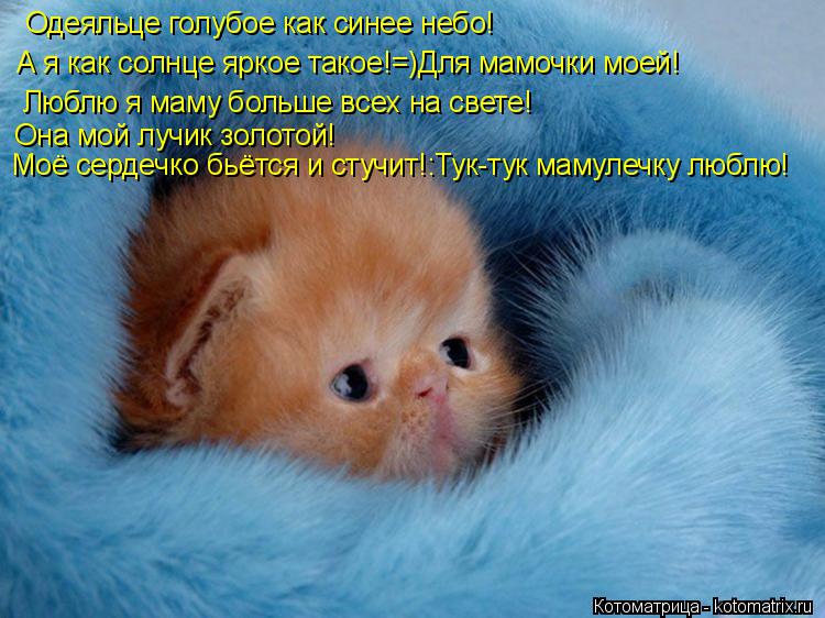 Котоматрица: А я как солнце яркое такое!=)Для мамочки моей! Люблю я маму больше всех на свете! Она мой лучик золотой! Одеяльце голубое как синее небо! Моё с