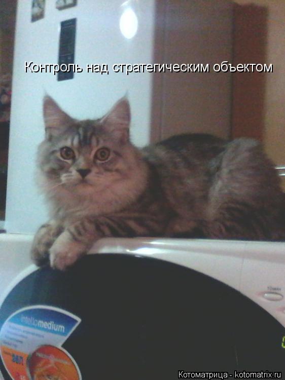 Котоматрица: Контроль над стратегическим объектом