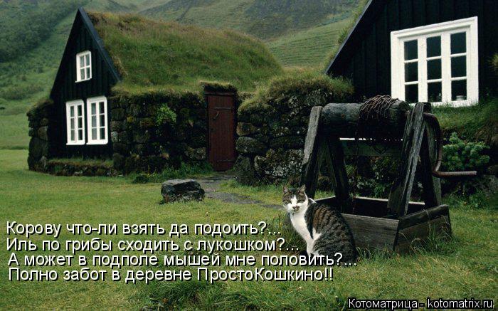 Котоматрица: Корову что-ли взять да подоить?... Иль по грибы сходить с лукошком?... А может в подполе мышей мне половить?... Полно забот в деревне ПростоКошки