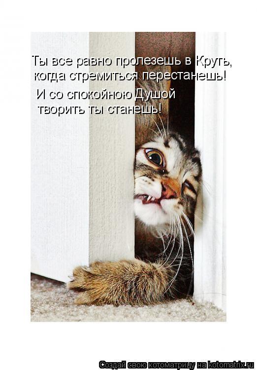 Котоматрица: Ты все равно пролезешь в Круть,  когда стремиться перестанешь! И со спокойною Душой творить ты станешь!