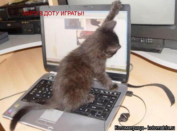 Котоматрица: ХАРЭ В ДОТУ ИГРАТЬ!!