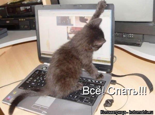 Котоматрица: Всё! Спать!!!