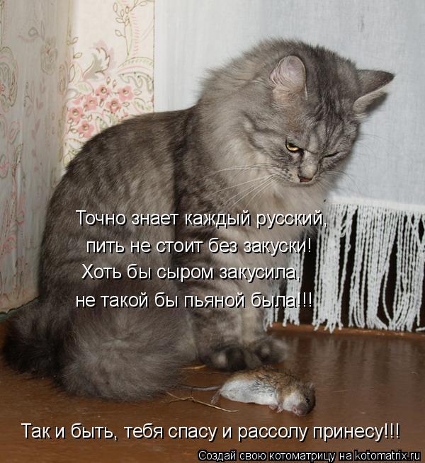 Точно знает каждый русский, пить не стоит без закуски! Хоть бы сыром закусила, не такой бы пьяной был... Котоматрица: Точно знает каждый русский, пить не стоит без закуски! Хоть бы сыром закусила, не такой бы пьяной была!!! Так и быть, тебя спасу и рассолу прин