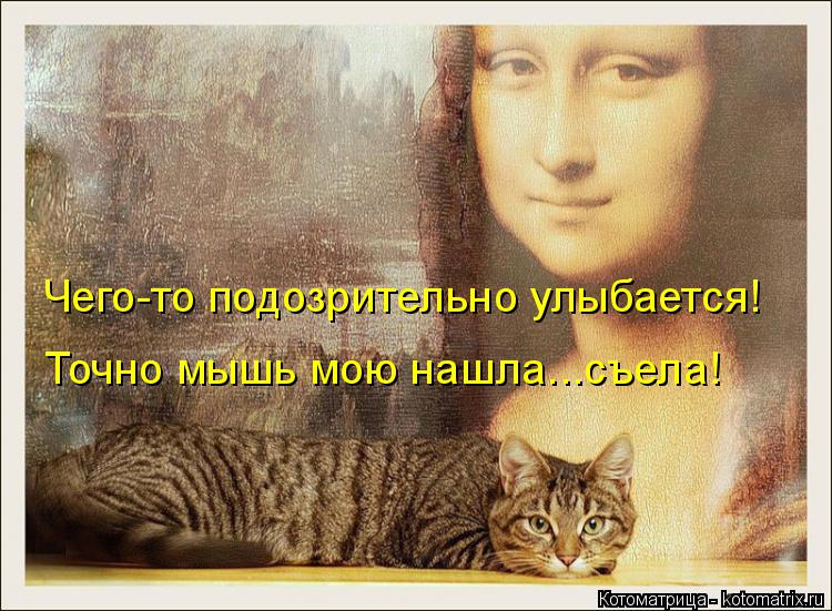 Котоматрица: Чего-то подозрительно улыбается! Точно мышь мою нашла...съела!