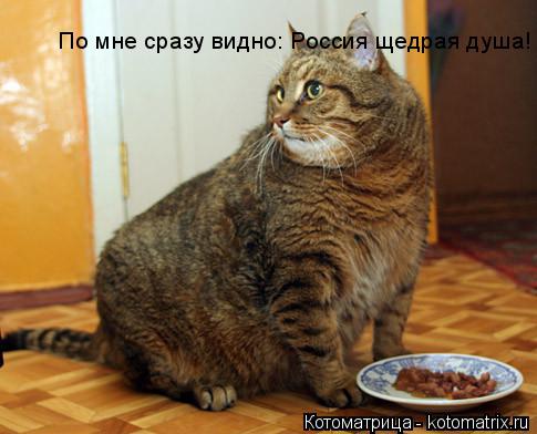 Котоматрица: По мне сразу видно: Россия щедрая душа!