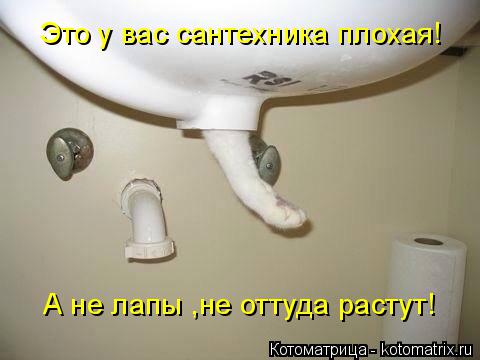 Котоматрица: Это у вас сантехника плохая! А не лапы ,не оттуда растут!